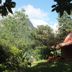 المظهر الخارجي
