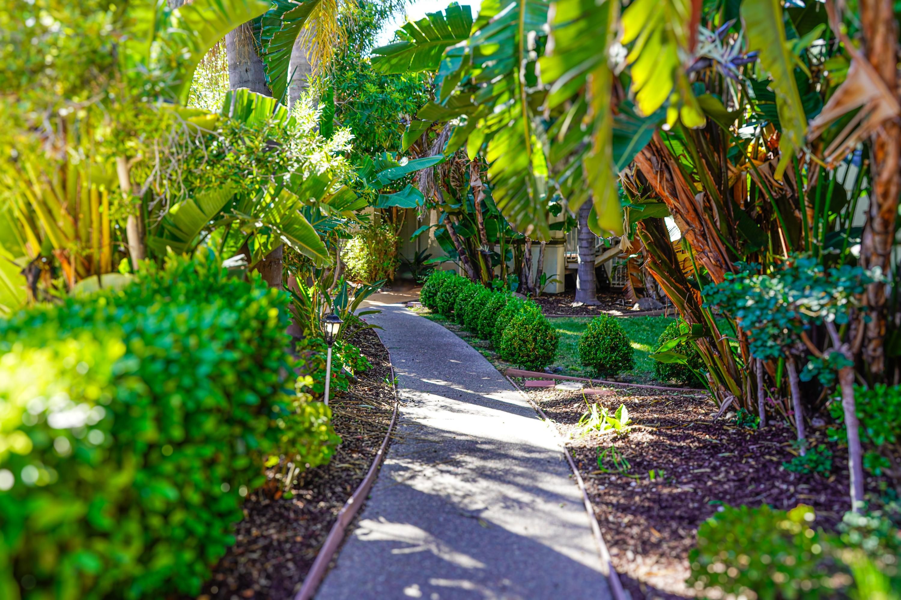 المظهر الخارجي