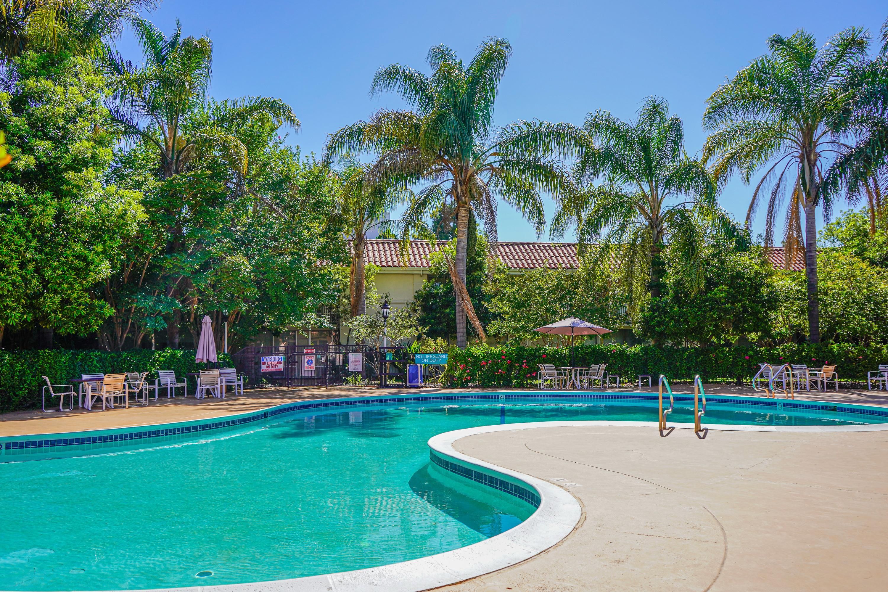 حوض السباحة