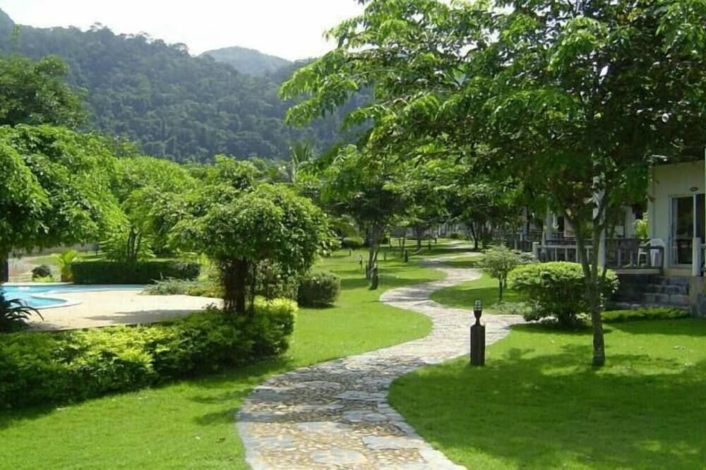 المظهر الخارجي