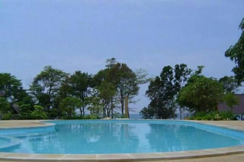 حوض السباحة