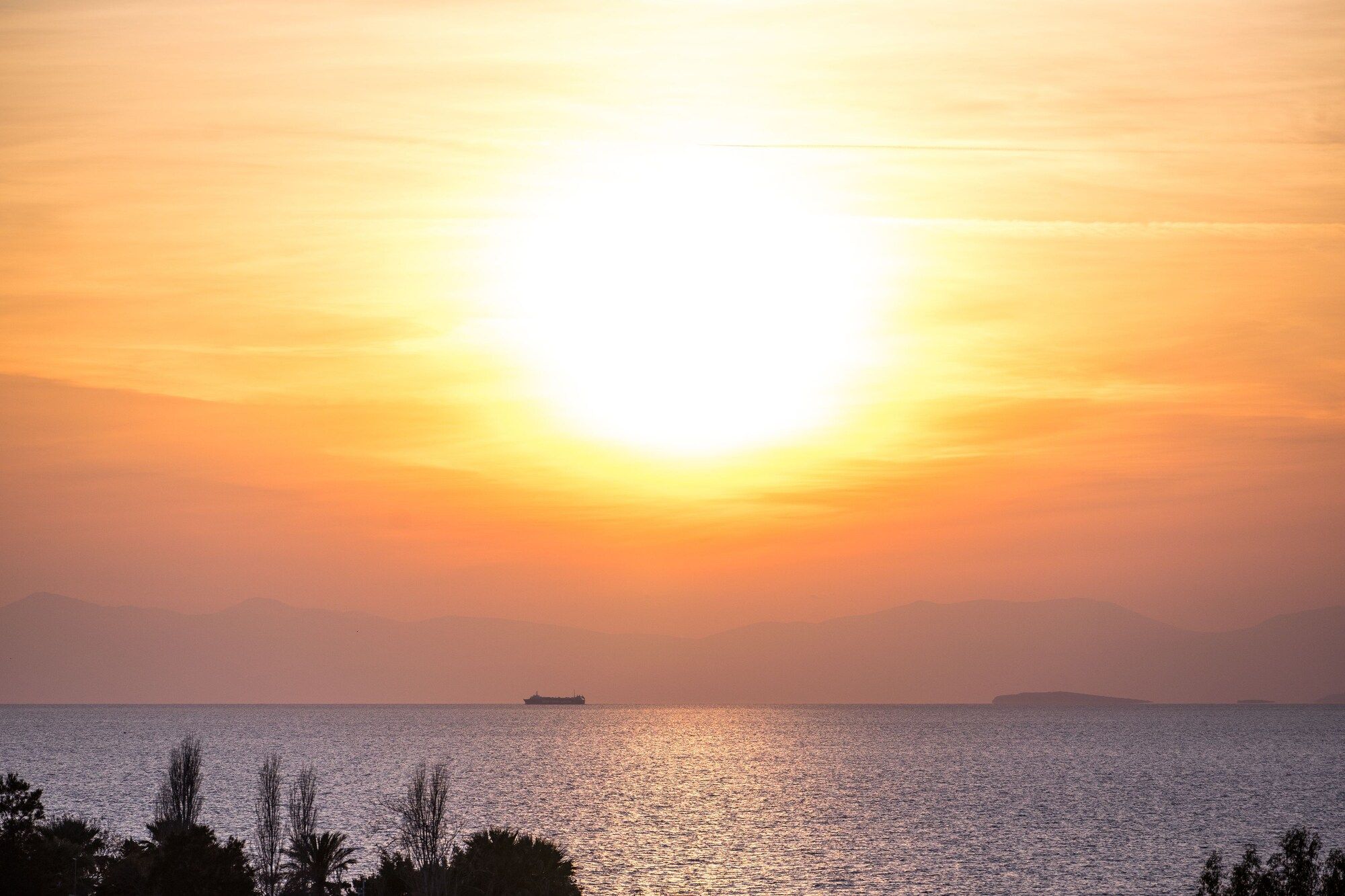 المظهر الخارجي