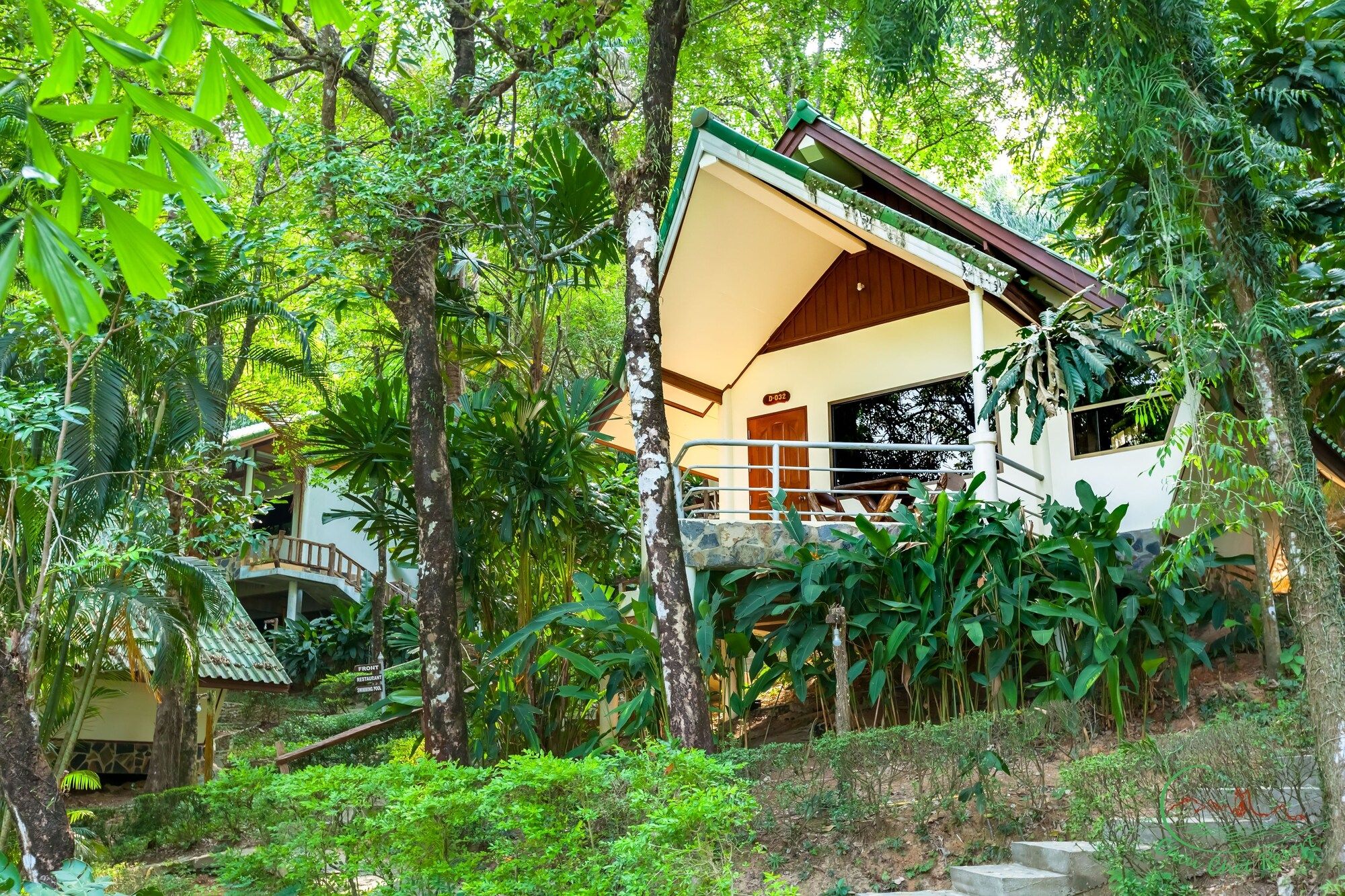 المظهر الخارجي