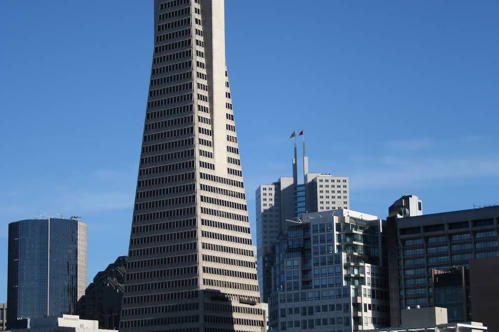 المظهر الخارجي