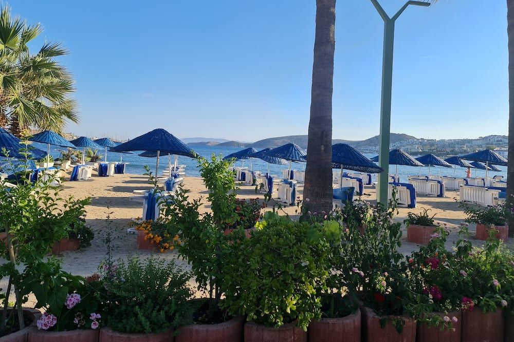 المظهر الخارجي