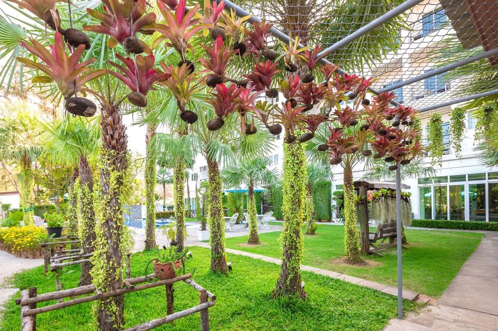 المظهر الخارجي