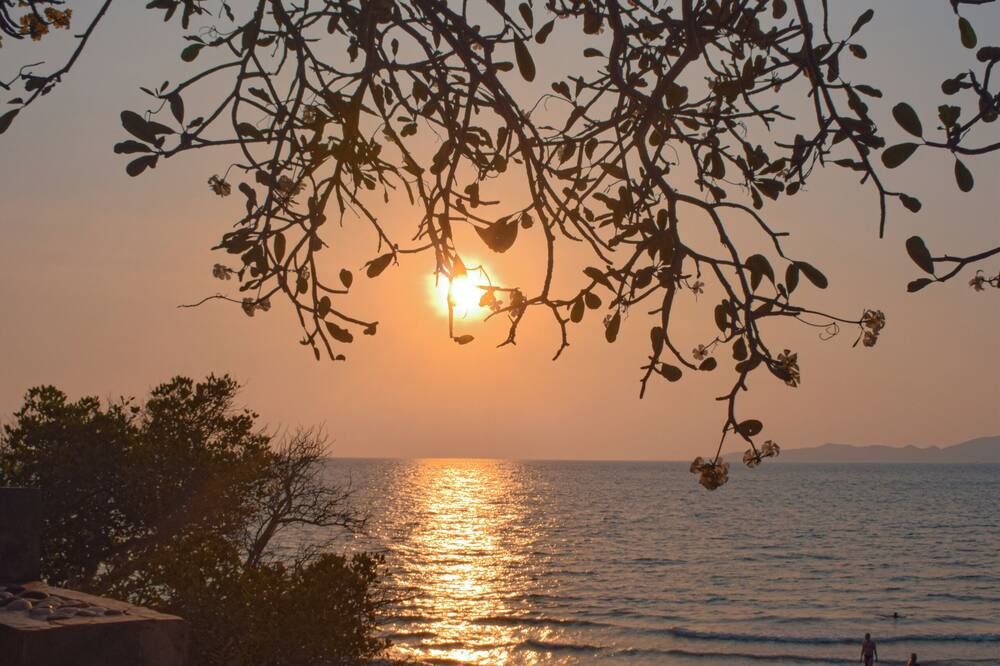 المظهر الخارجي