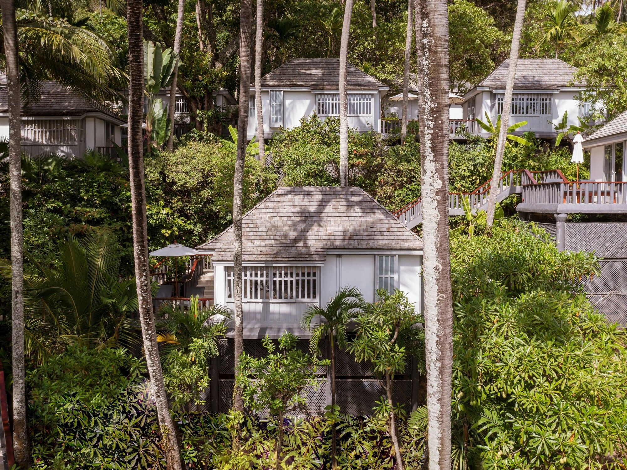 المظهر الخارجي