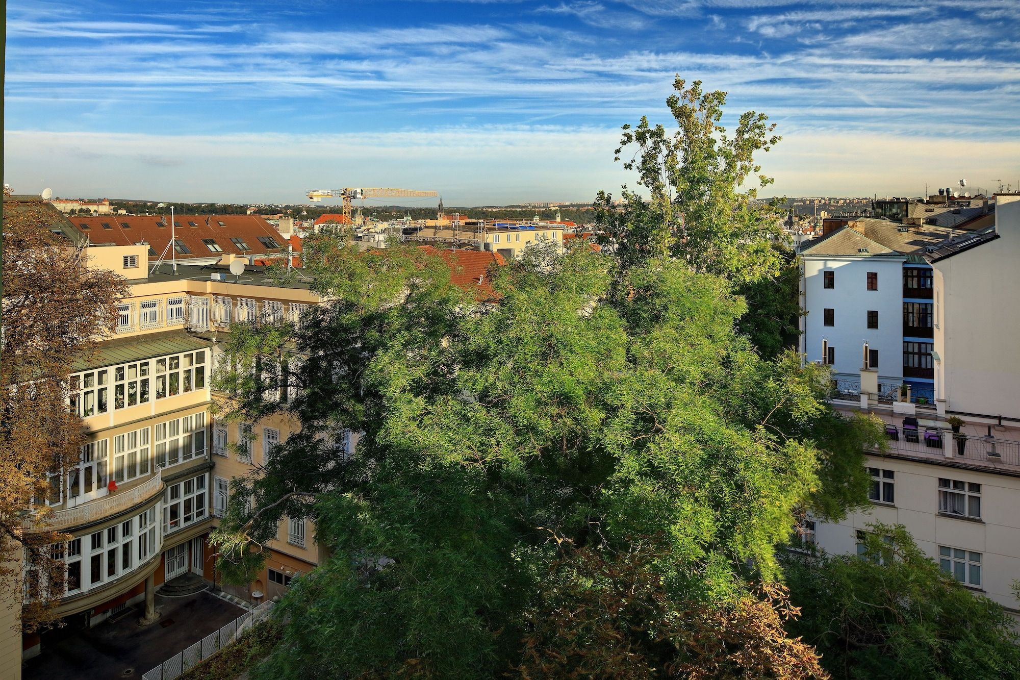 المظهر الخارجي