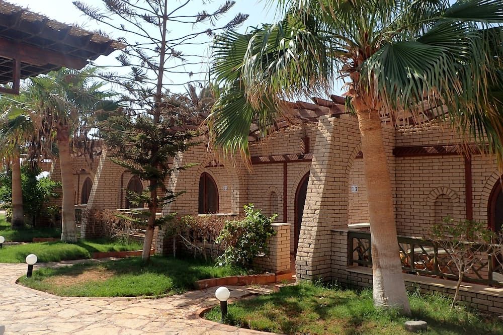 المظهر الخارجي