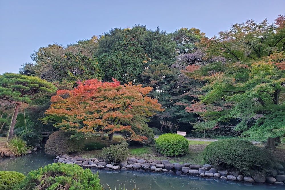 المظهر الخارجي