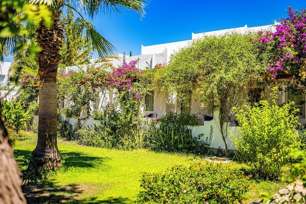 المظهر الخارجي