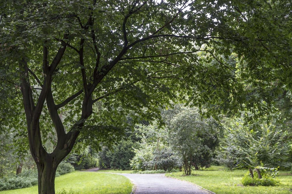 المظهر الخارجي