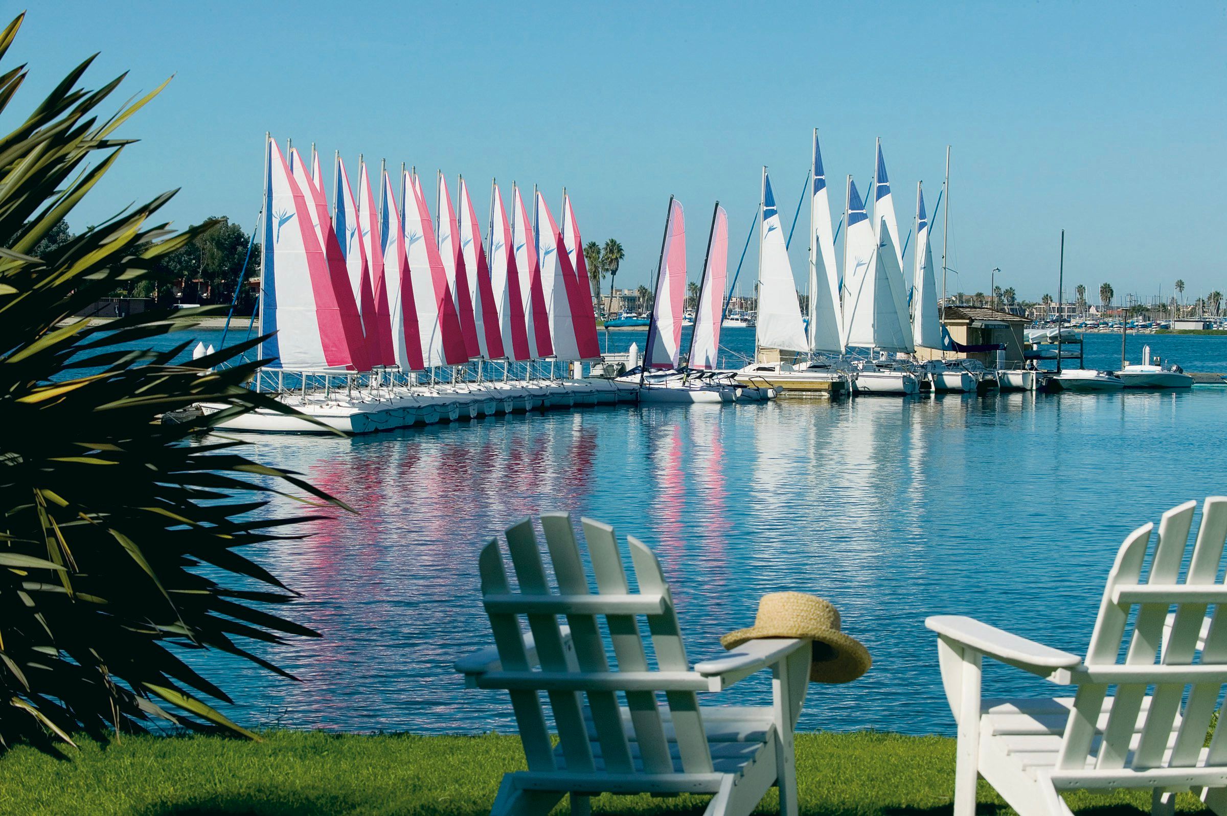 المظهر الخارجي