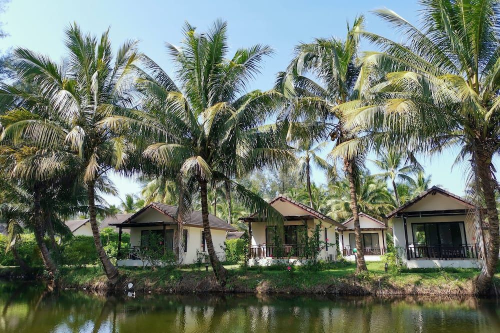 المظهر الخارجي