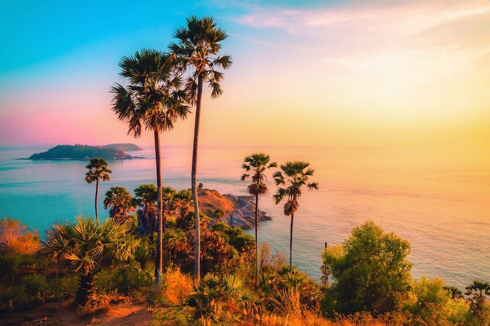 المظهر الخارجي