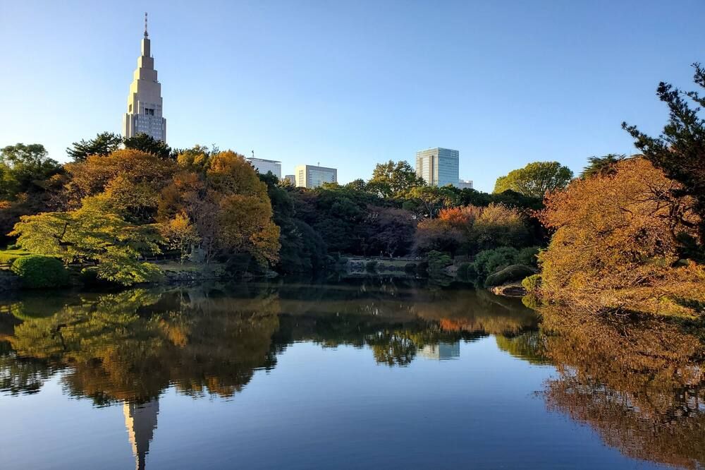المظهر الخارجي