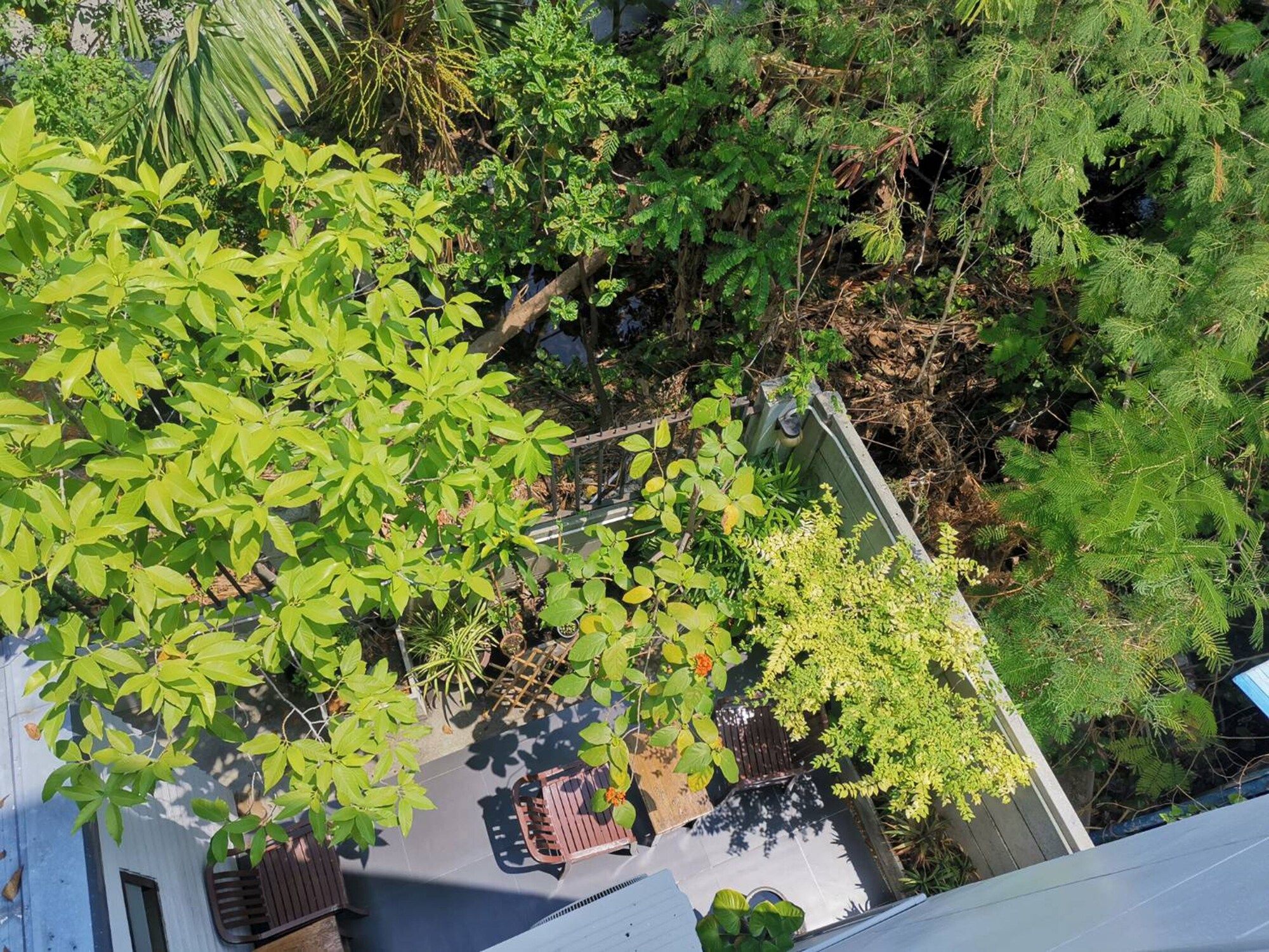 المظهر الخارجي