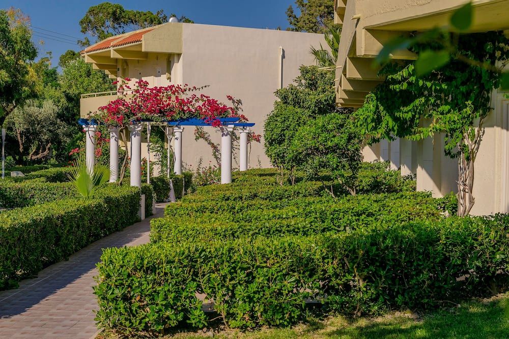 المظهر الخارجي