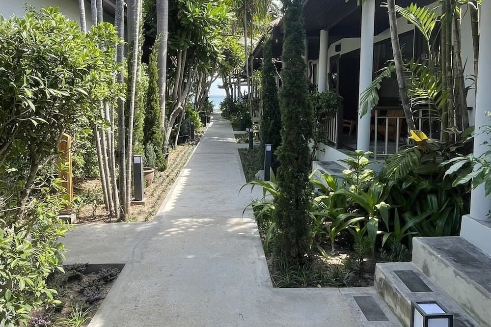 المظهر الخارجي