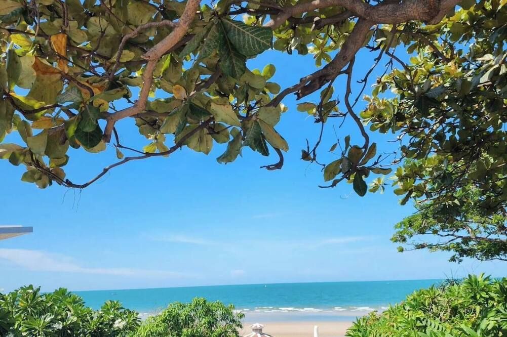 المظهر الخارجي