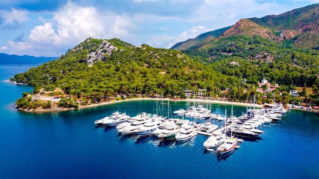 المظهر الخارجي