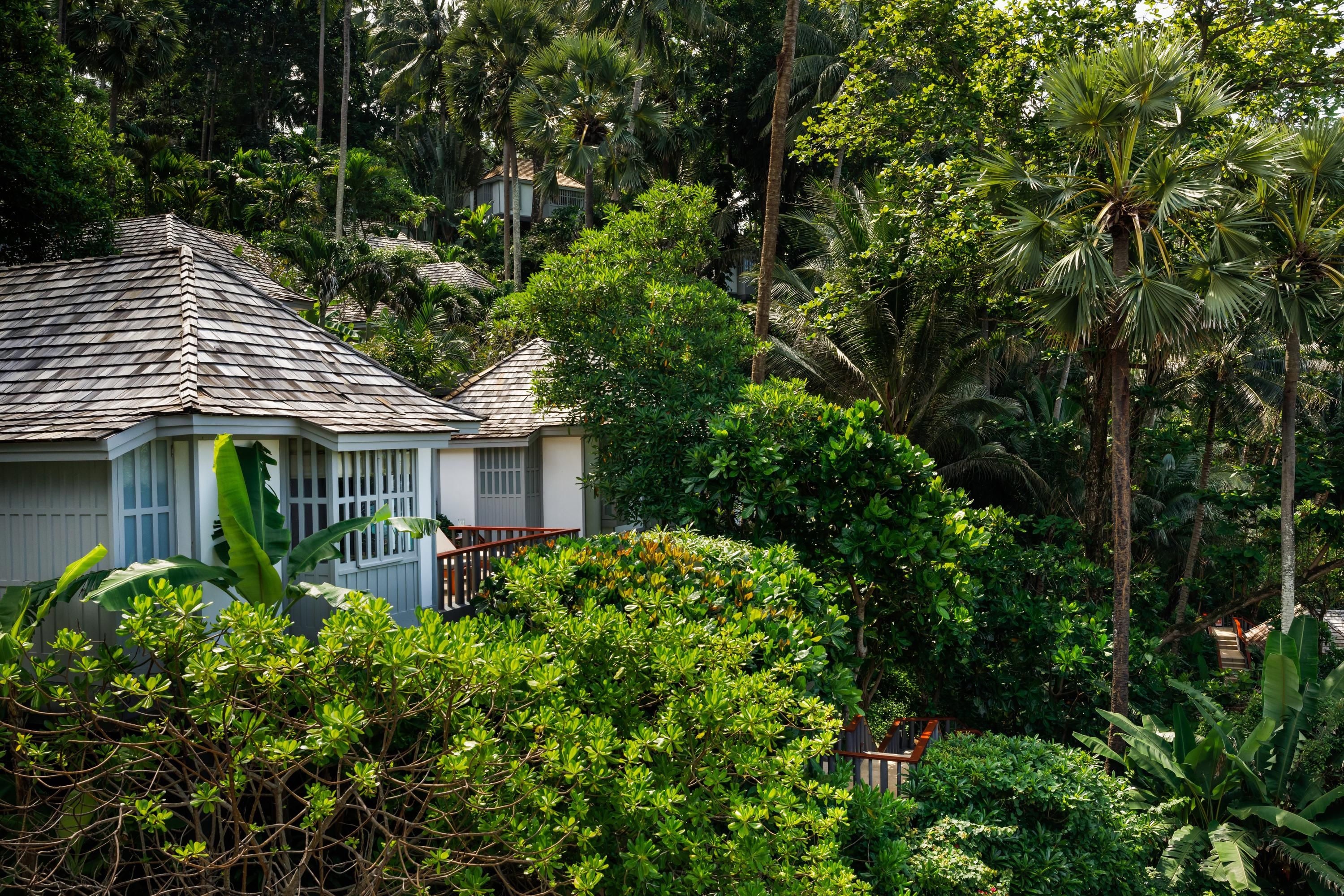 المظهر الخارجي