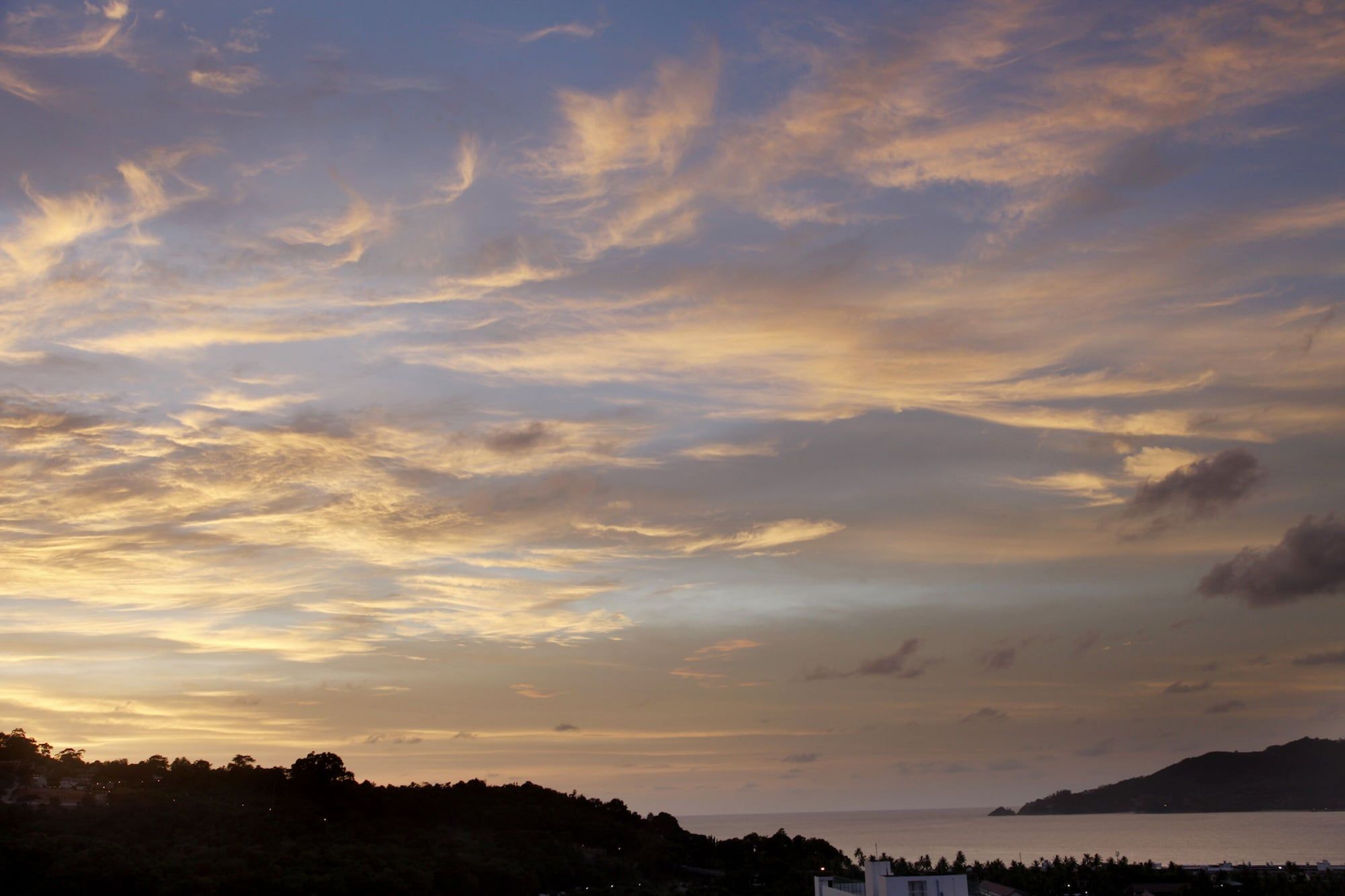 المظهر الخارجي