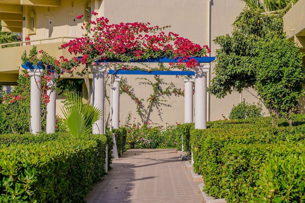 المظهر الخارجي