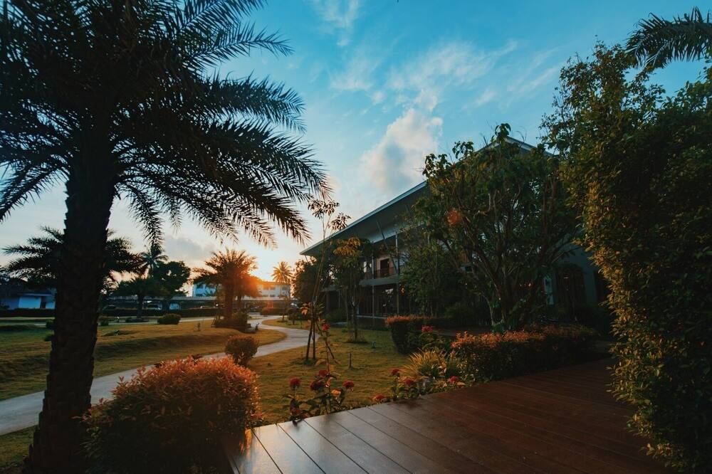 المظهر الخارجي