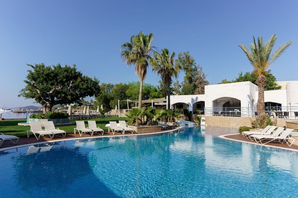 حوض السباحة