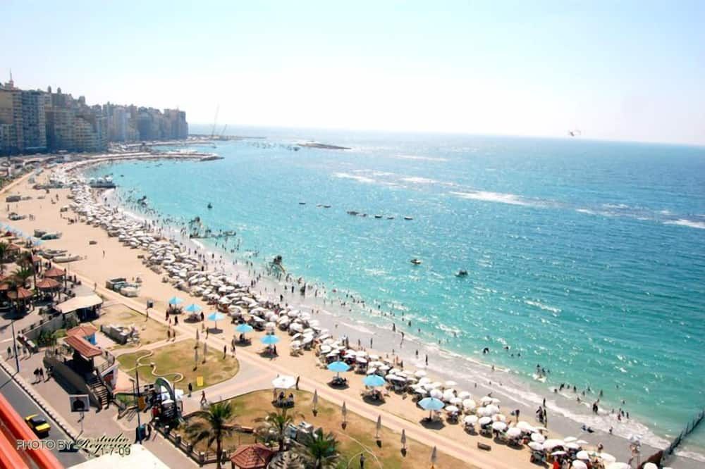 شاطئ