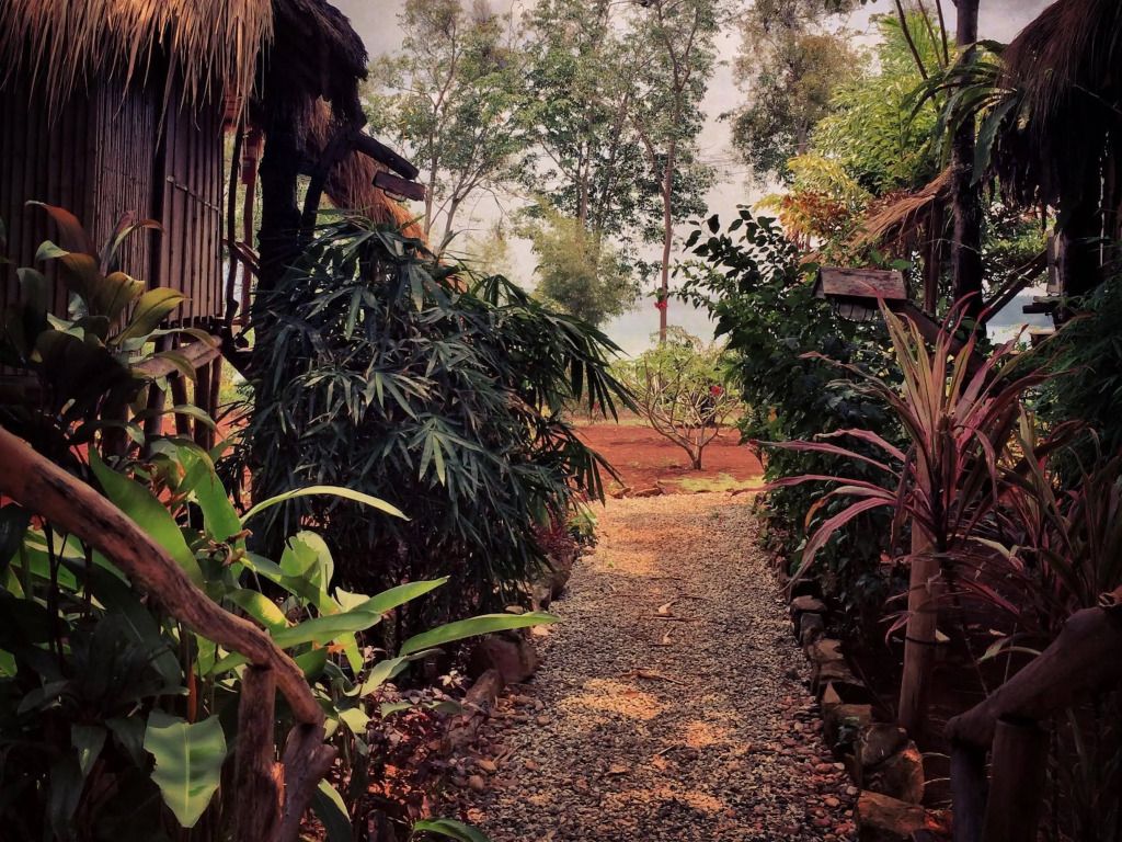 المظهر الخارجي