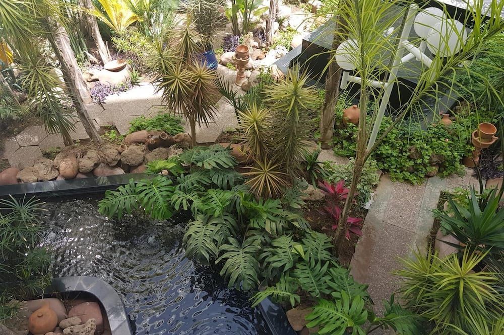 المظهر الخارجي