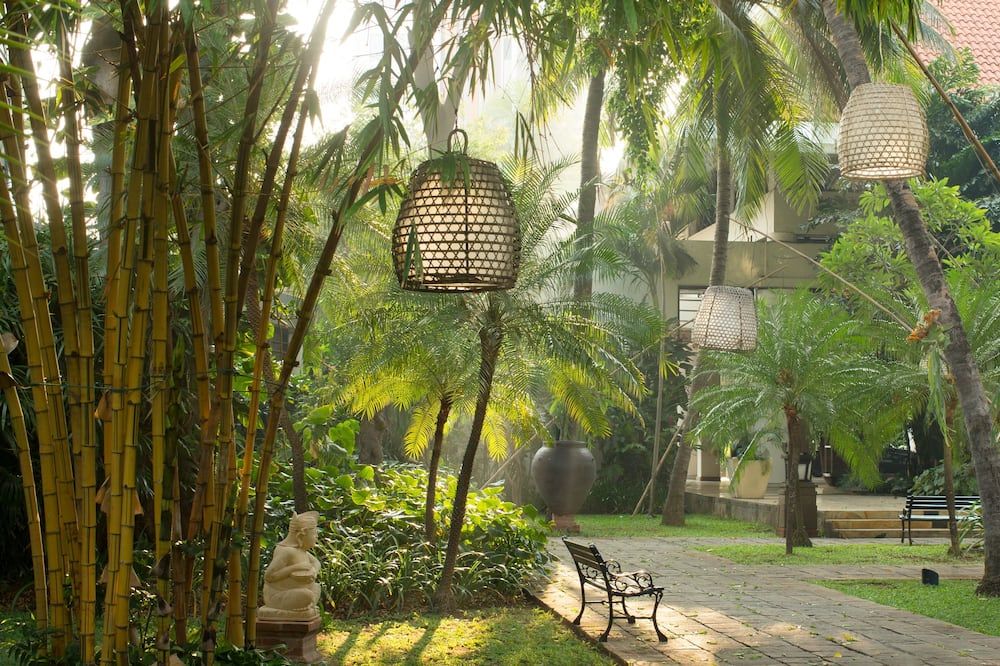 المظهر الخارجي