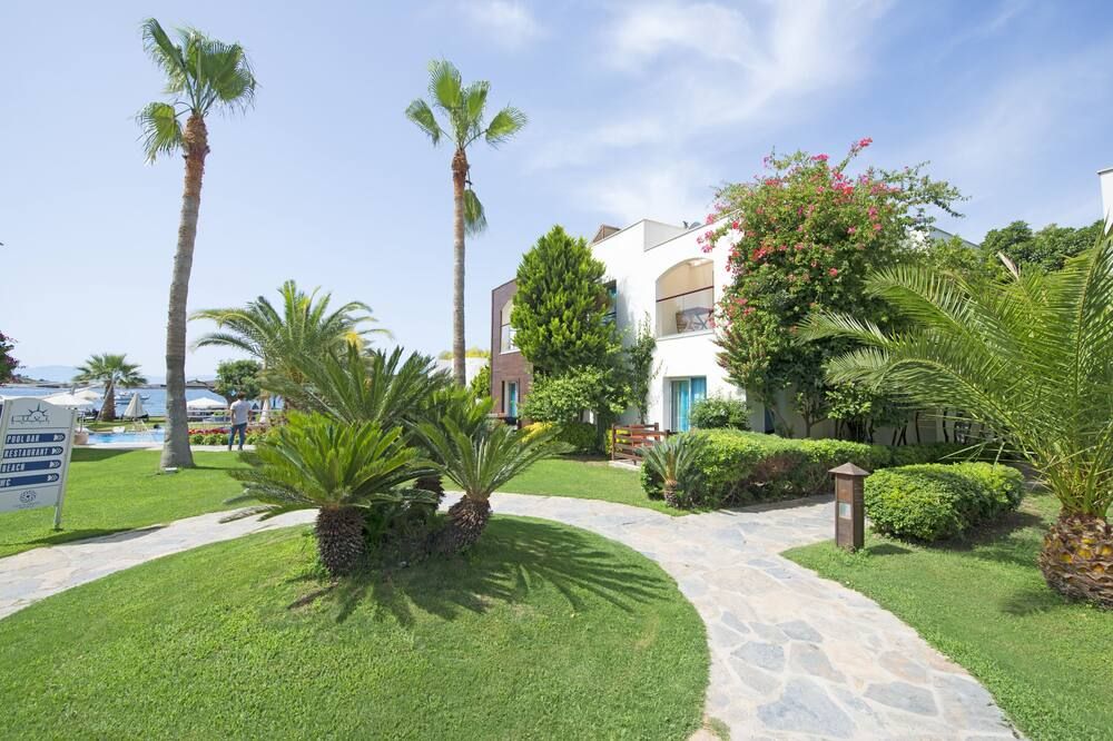 المظهر الخارجي