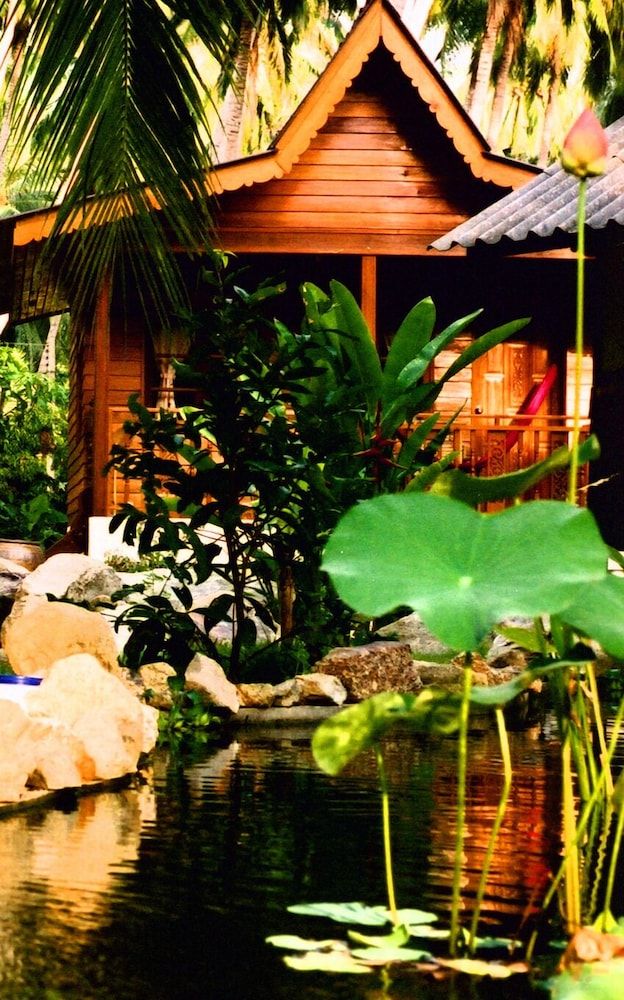 المظهر الخارجي