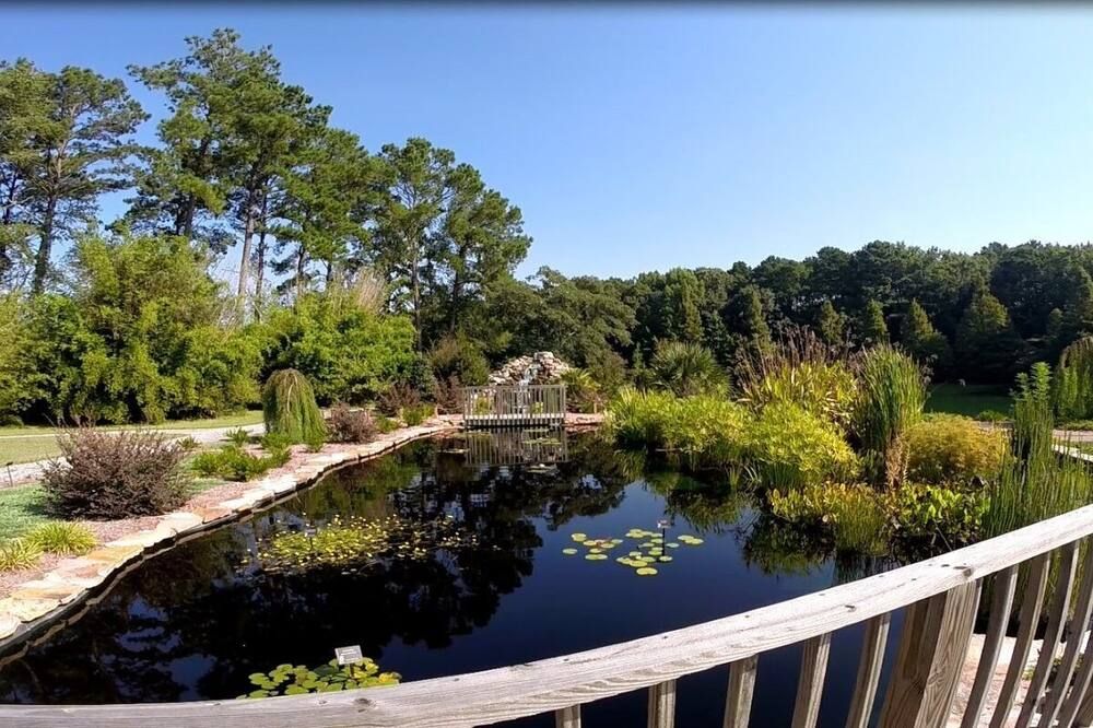 المظهر الخارجي