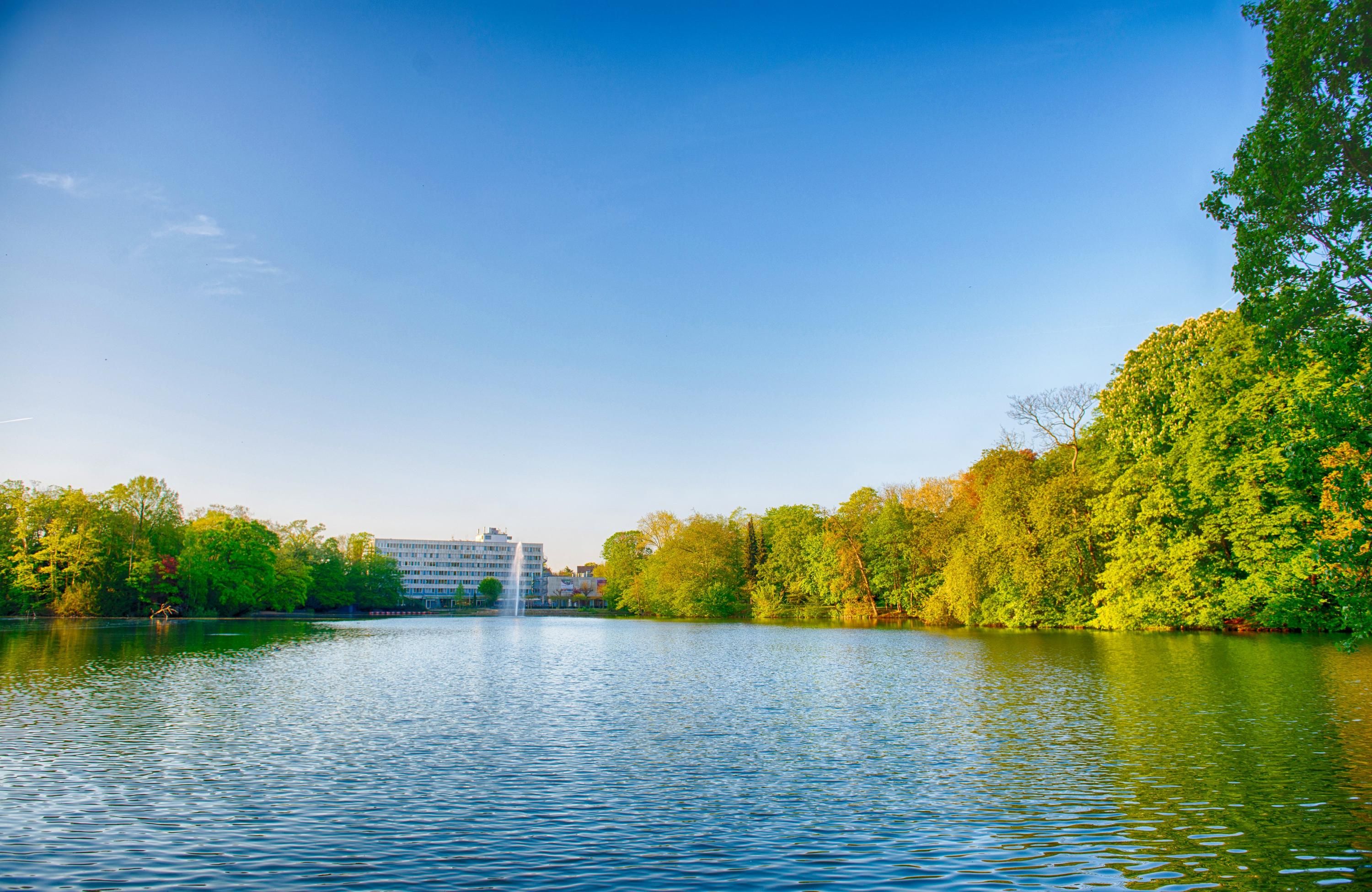 المظهر الخارجي