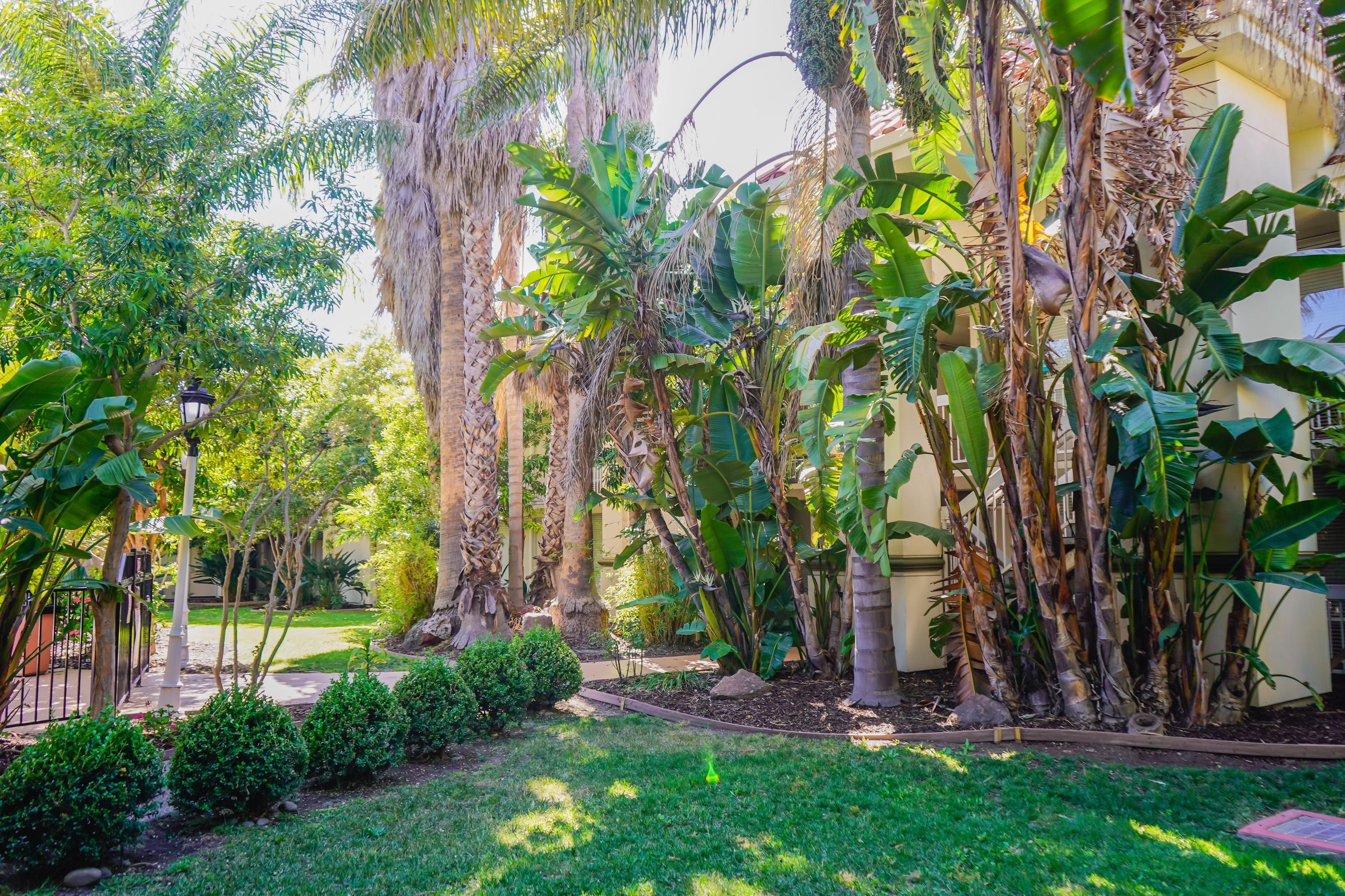 المظهر الخارجي