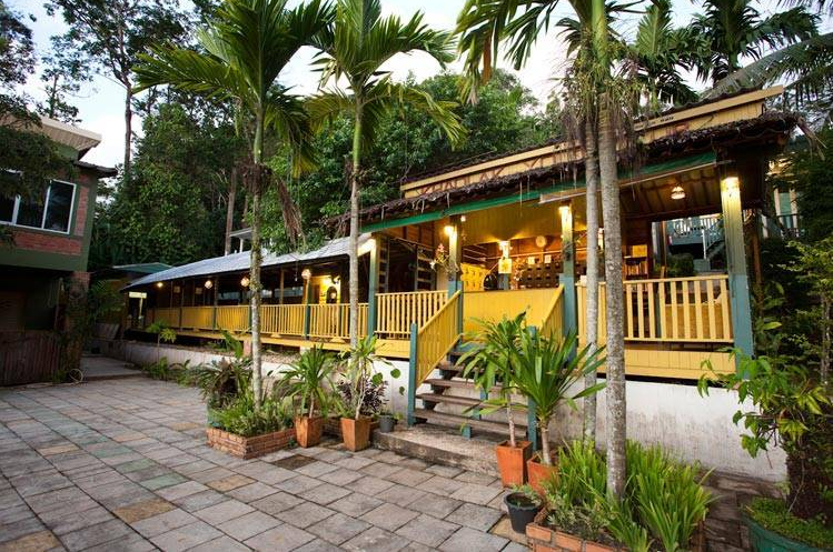 المظهر الخارجي