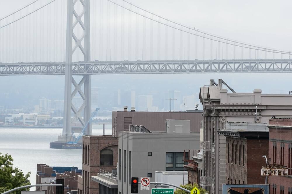 المظهر الخارجي