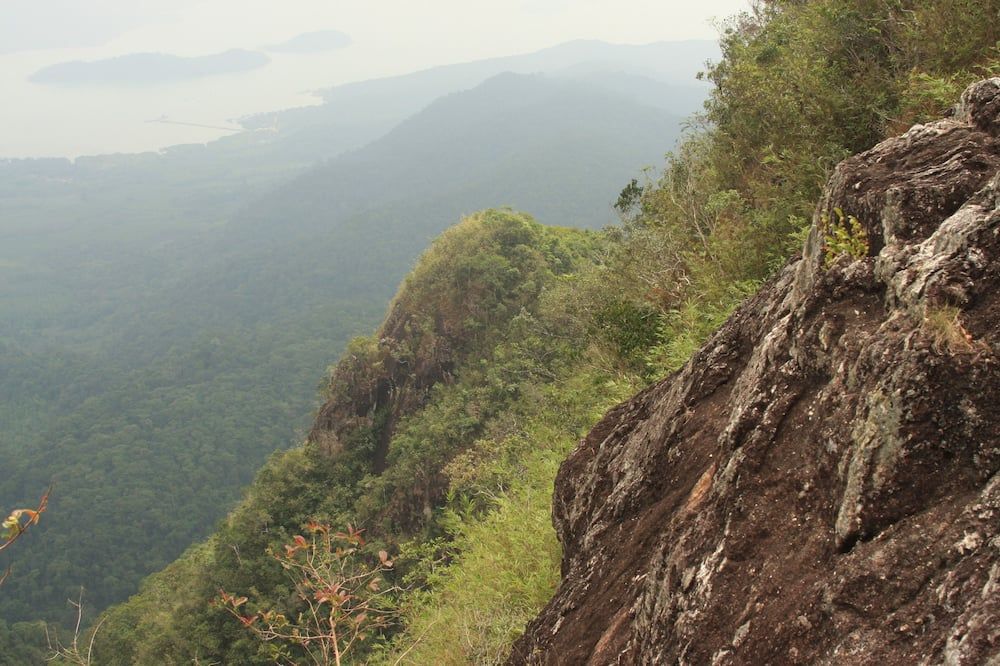 المظهر الخارجي