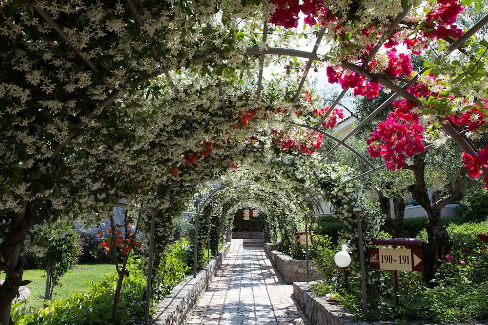 المظهر الخارجي