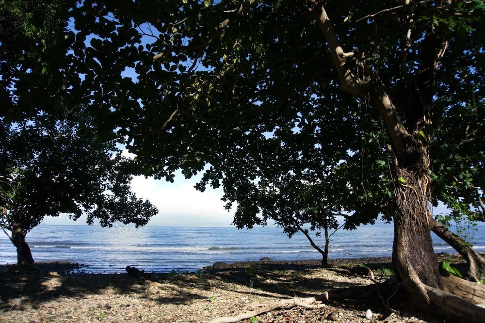 المظهر الخارجي