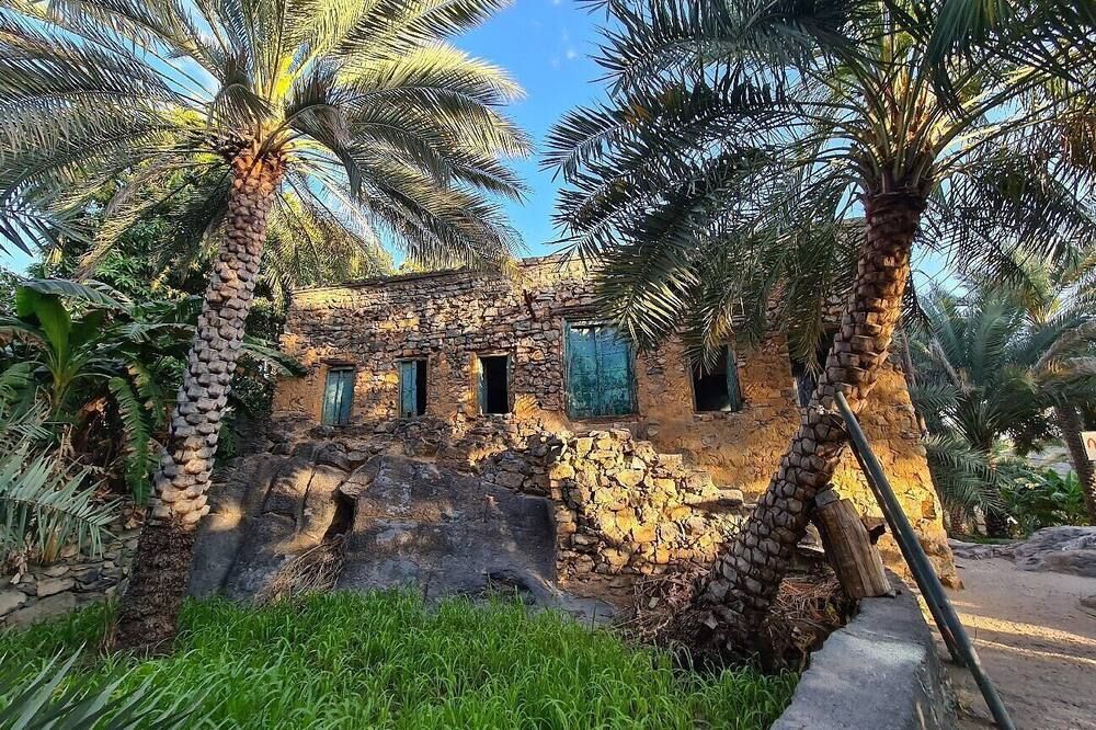 المظهر الخارجي