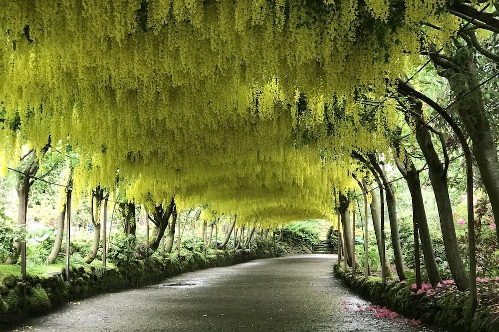 المظهر الخارجي