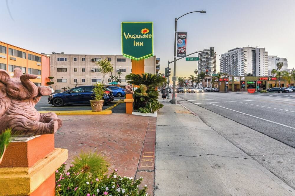 المظهر الخارجي