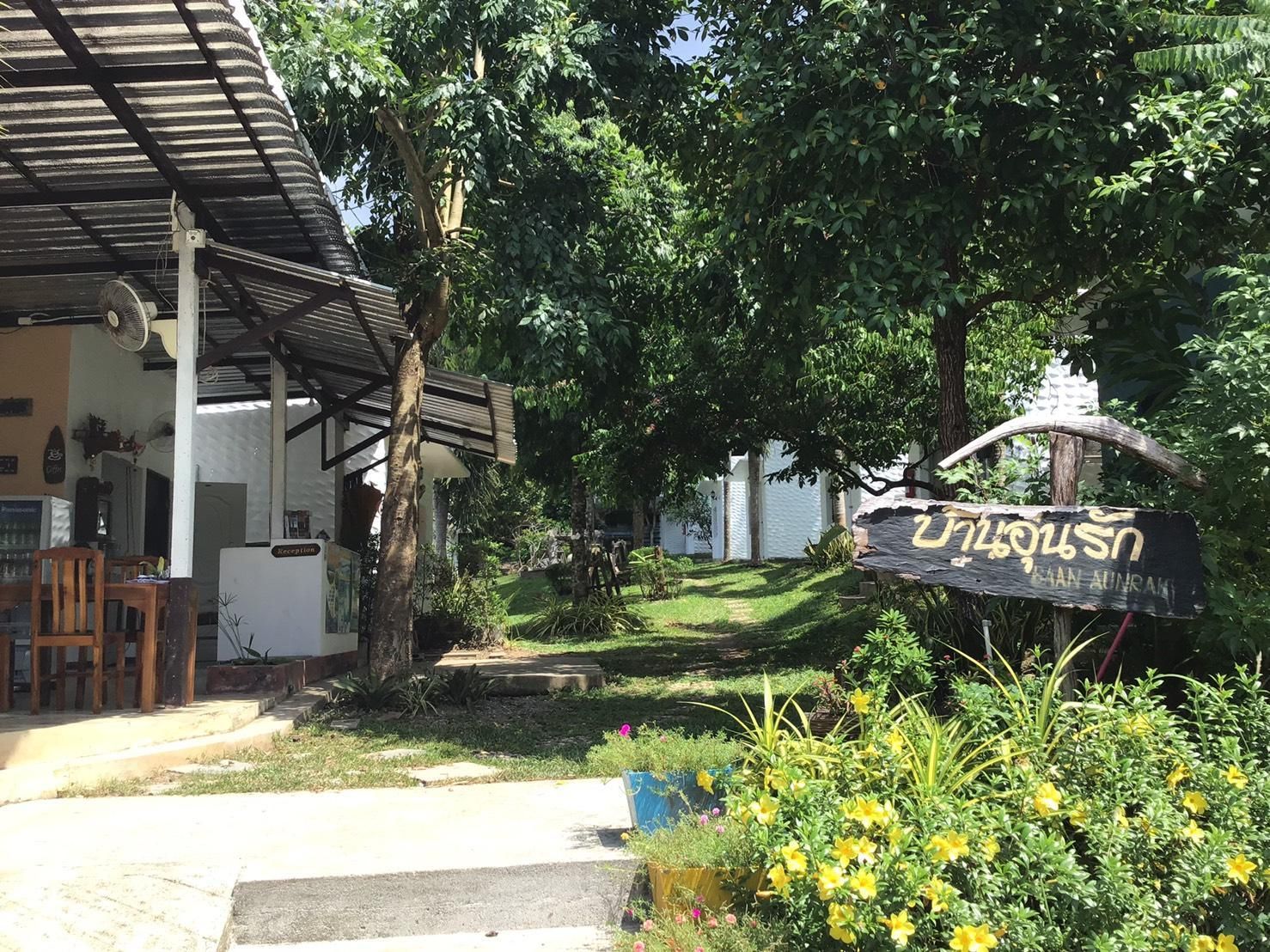 المظهر الخارجي