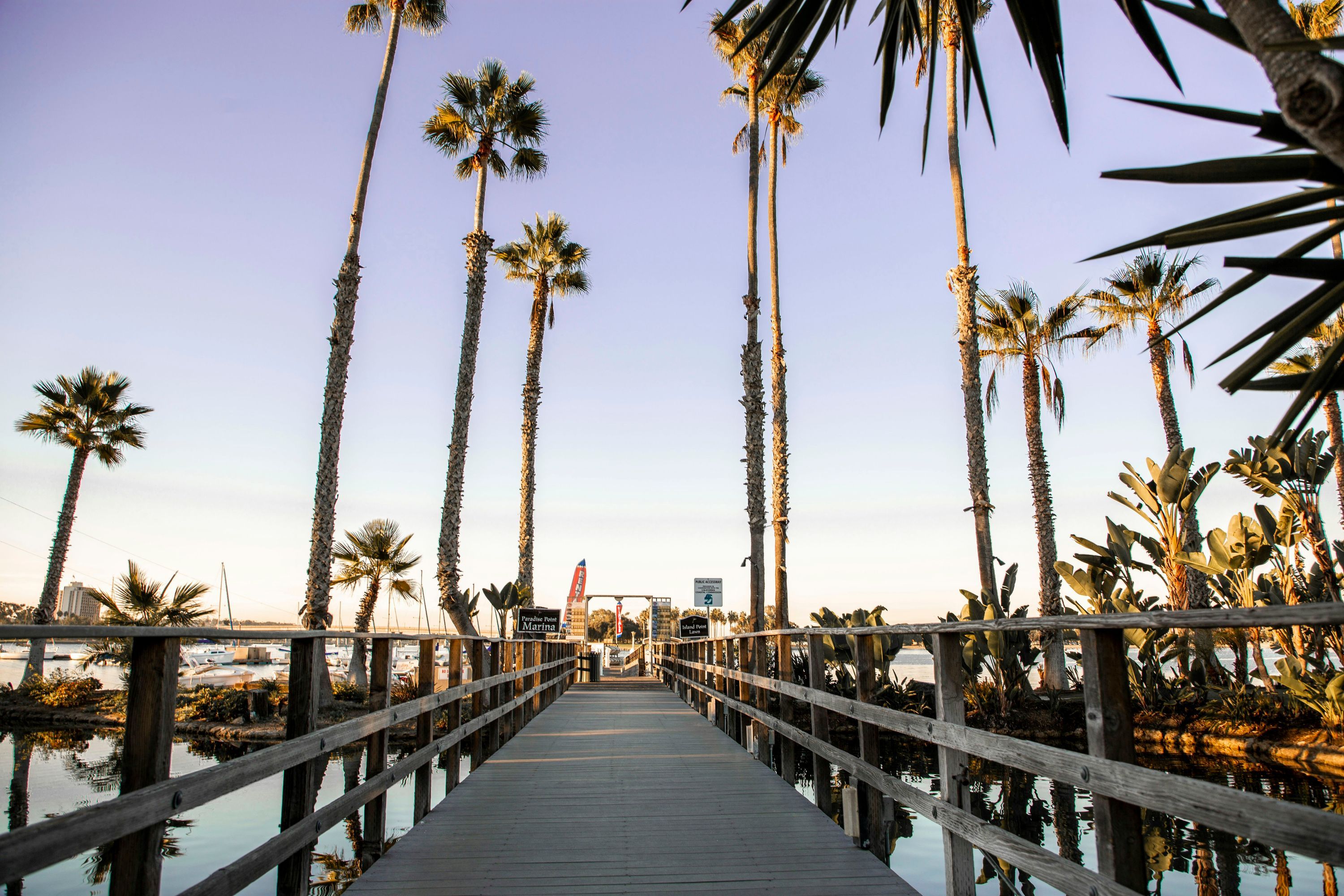 المظهر الخارجي